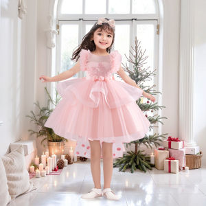 Rolanko Kids Girls Princess Dress Bow Tailoring Embroidery Flowers Mesh Tutu Dress Wedding Dress Birthday Party Performance Costume