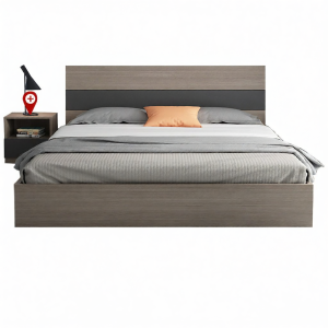 BINGTAI | Modern Simple Storage Bed