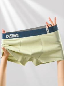 JIAZINI | Cotton Boys Underwear