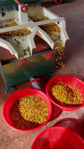 [500GR] Cà phê hạt Arabica Moka Cầu Đất Gaia Cafe PREMIUM | Vị thanh chua hương hoa