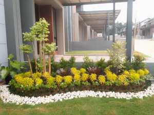 jasa pembuatan taman minimalis