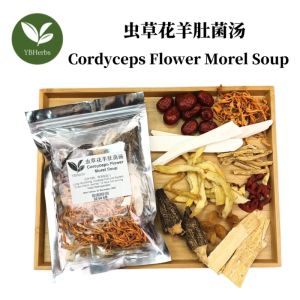 虫草花羊肚菌汤 Cordyceps Flower Morel Soup 滋补润肺 增强免疫力 4-5 person Chinese Herbal Soup