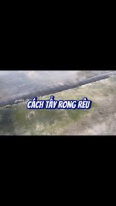Bột Vệ Sinh Rong Rêu Dạng Hạt – Tẩy Rong Rêu Sân Nhà Nền Gạch Lối Đi Bậc Thềm Ban Công Tiện Dùng