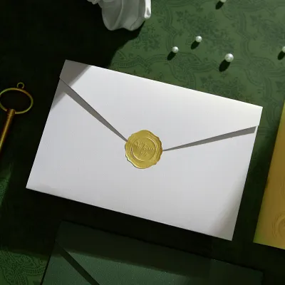 10Pcs Pearl Color Ins Style Envelope Invitations with Gold Sealing Stickers Multi-Purpose Envelopes for Weddings Birthdays Fa