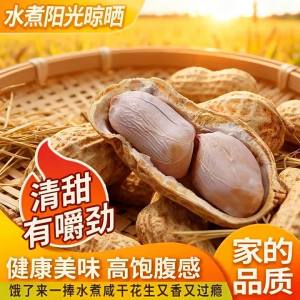 Salty Crisp In-Shell Peanuts Fresh