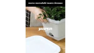 กระถาง กระถางดอกไม้ กระถางปลูกผัก กระถางทรงยาวมีถาดรอง JASPER