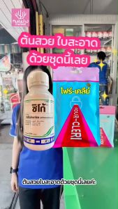 ไดฟีโคนาโซล กำจัดเชื้อรา ราสนิม เมล็ดด่าง 500 ซีซี - สีขาว ขนาด 500 มิลลิ ซิโก้