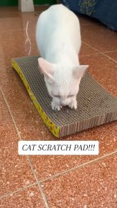 Corrugated Paper Cat Scratcher Catnip Cat Scratching Pad Board Mat Scratcher For Cats Kittens Pet Games Toys (Free CATNIP SACHET)
