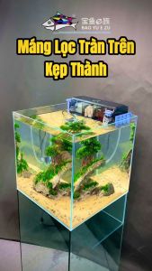 Lọc Tràn Trên Kèm Bơm Baoyu G-30 G-50 G-60 - Lọc Treo Kẹp Thành Bể Cá