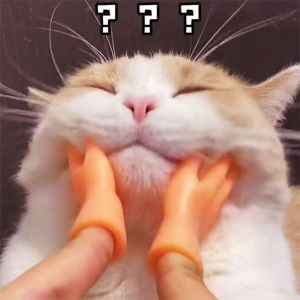 JIFANPAUL | Cat Entertaining Mini Finger Glove Toy