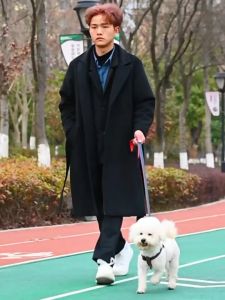 Bộ dây dắt cho Chó Mèo kèm yếm dây bằng vải jean 2 lớp (mẫu mới) - Hara Pet Store