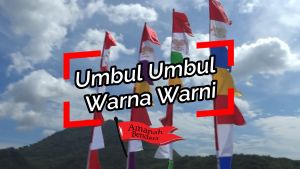 UMBUL UMBUL WARNA WARNI 8 GERGAJI