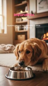 IMPOROPETS RANOVA Freeze-Dried Chicken/Duck/Chicken Liver Food Topper for Cats & Dogs –Buy three different flavors of topper and get two free freeze-dried meat Grain-Free Natural Protein Enhancer 100% Pure Meat Meal Enhancer for Kittens & Puppies