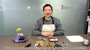 Kitchen Multifunctional Scissors