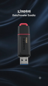 Kingston Data Traveler Exodia USB 3.2 Flash Drive - 256GB