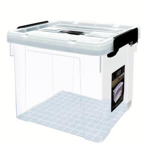 Transparent Small With Lid Storage Box