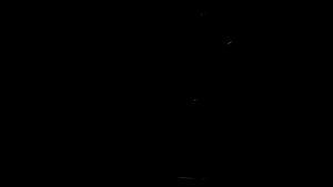 [ON HAND] CAMPSNAP Camp Snap CS8 CS-8 Digital Video Camera MVP CAMERA