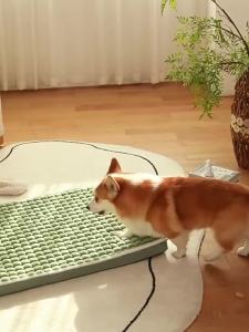 Pet mat Dog bed Dog sofa warm sleeping in winter Removable and washable kennel floor mat Pet bed all-season sleeping mat Cat bed