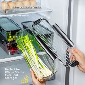Freshness Keeping & Storage Box