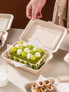 Vinland | Disposable Multi-purpose Packaging Box for Tiramisu Bentos Sandwiches Hamburgers Basque Square