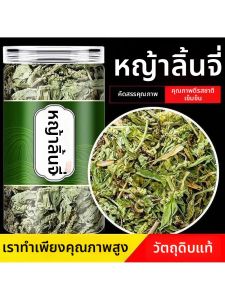 Wild Dandelion Tea Uric Acid Reducer