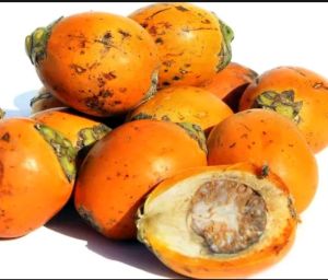 buah pinang buah jambe mudatua 1kg ASLI LANGSUNG DI PETIK DARI POHONNYA