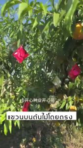 ✅วางไว้ นกหายไปหมด✅ไล่นก ก้อนไล่นก 30 แพ็ค/ถุง เครื่องไล่นก นฝน กันแดด ไร้พิษ ไล่นกทุกชนิด ไล่นกพิราบถาวร กลิ่นขับไล่นก กันนกออกไปได้อย่างง่ายดาย ไม่กลัวฝน ผลที่ยา การกำจัดที่มีประสิทธิภาพและยาวนาน