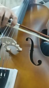 Solid Wood 1/2 Cello Set with Horse Tail Bow + Rosin polish + Carrying Bag Basswood Face Board concert practice kit