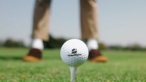 FEARLESSNESS GOLF CLUB HARRINGTON JACKET BROWN