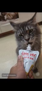 Face Vet Complete Prescription Cat Wet Food Pouch Makanan Preskripsi Kucing Pek Individu