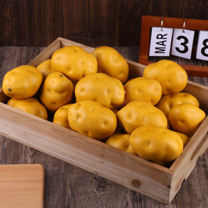 Simulation Potato Model Foam Fake Vegetable Fruit Props Food Photography Early Education Sweet Potato Fake Potato Stall