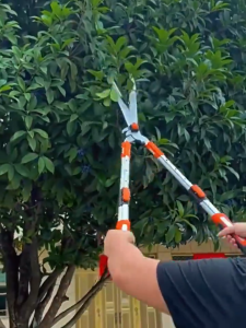 Heavy Duty Telescopic Tree Pruning Shears Labor-Saving Extendable Long Reach Garden Loppers Multi-Purpose Thick Branch Bud Cutter for Home Garden Farm