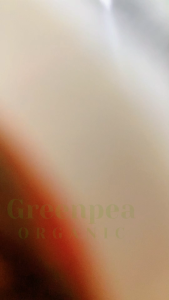 Youta น้ำพริกเผาเห็ดหอม เจ ขนาด 210 กรัม Vegetarian Mushroom Chili Paste พริกเผา เครื่องปรุง กลิ่นหอม อาหารเจ โยตา