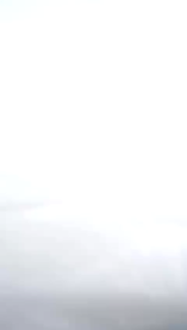 DRACCO Sarung Mobil Fortuner Pajero Alphard Transparan Premium & Bonus Tas Simpan