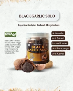 Black Garlic Solo Bawang Tunggal Lanang Premium Bermacam Khasiat