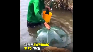 Multi Specification Umbrella Cage Folding Fishnet Umbrella Cage Automatic Fish Cage Umbrella Cage