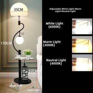 QIXIONG | Minimal Modern Bright Creative Remote Control Floor Lamp