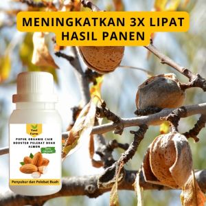 Pupuk Almon Cepat Berbuah / Pupuk Pelebat Buah Almon / Pupuk Booster Almon Cair