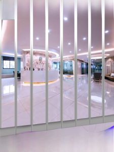 Magnetic Door Curtain Winter Warm Shop Commercial Windproof Air Conditioning Partition Transparent Soft Leather Curtain