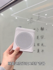 Portable Voice Amplifier With Bluetooth & Lavalier Microphone Mini Wireless Microphones Speaker for Teacher