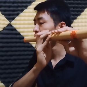 Sáo Mèo Việt Nam Quấn Vải