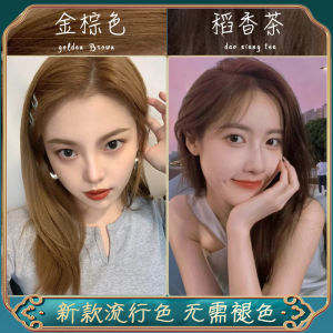 Blue Lotus Fusion Hair Dye Cream Warm Brown Yellow Series Light Golden Linen Color Highlighting Hair Dyeing Paste Sunset Orange