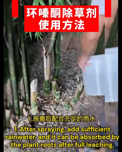 Racun Pokok & Rumput Kuat Mati Sampai Akar Tree Killer Herbicide Serbuk Tabur 500g Untuk Pokok Besar Buluh Lalang