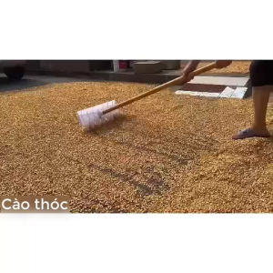 Cào nhựa kết hợp cào lưỡi bằng đa năng