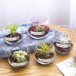 Crystal Transparent Arc Glass Candlestick DIY Aromatherapy Candle Making Container Handmade Decorative Item Modern Simplicity