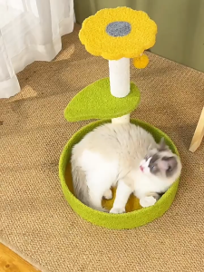 các loại trụ mèo (cat tree) độc lạ dành cho mèo - T3 PETS SHOP