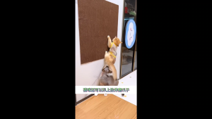 LDECO Self‑Adhesive Cat Scratcher Mat Non‑Shedding Durable Furniture Protector Carpet Pad for Cats Protect Walls Couch
