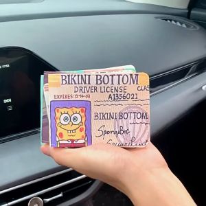 Ví nữ đựng thẻ Capybara Labubu hot trend LILA VTCA46