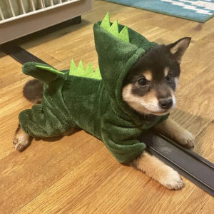 Dog Clothes Warm Autumn and Winter Clothes Dinosaur Pet Costume Teddy/Pomeranian Small and Medium-Sized Dogs Puppies Pets Cat Clothes