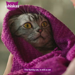 WHISKAS Dry Cat Food in Tuna Flavor for Adult Cats 480g